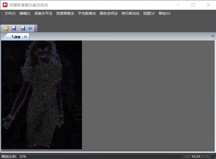 人生就是博官网影像真伪鉴定系统