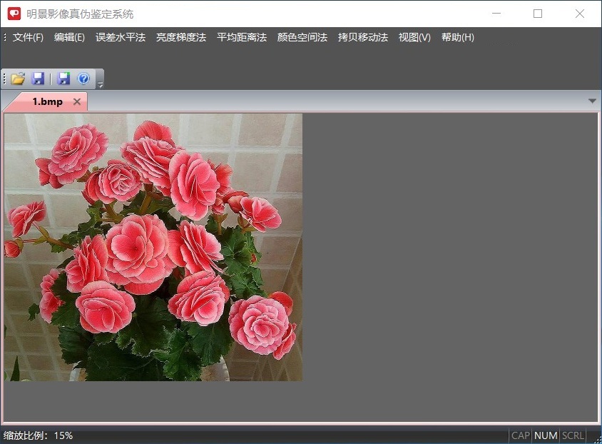 人生就是博官网影像真伪鉴定系统