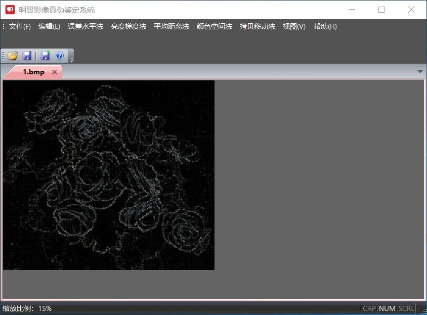 人生就是博官网影像真伪鉴定系统