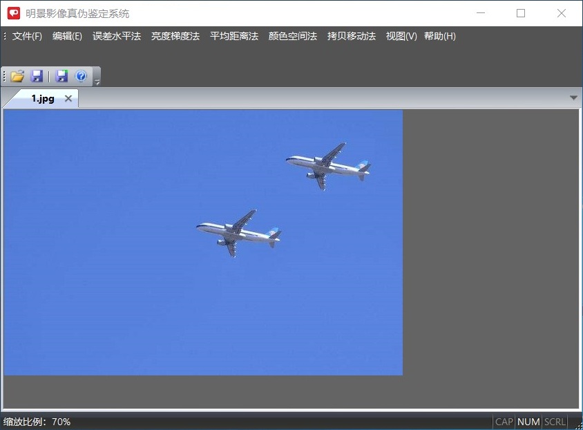 人生就是博官网影像真伪鉴定系统
