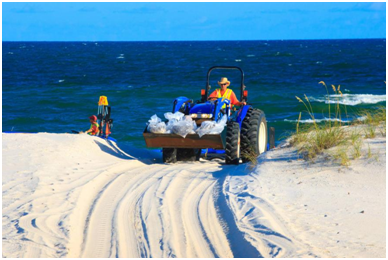 人生就是博官网影像真伪鉴定系统